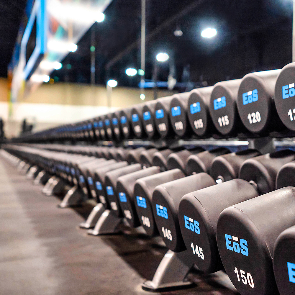 EoS Amenity Images_Free Weights